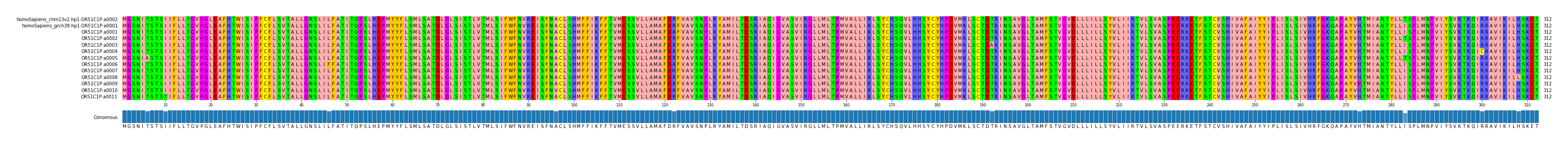 Multiple Alignments (by translate haplotype frequency)