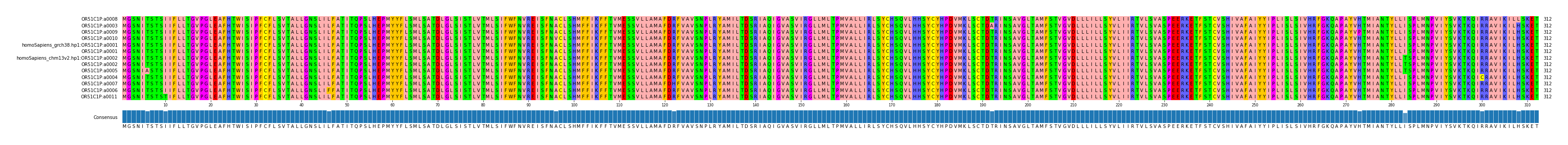 Multiple Alignments (by translate haplotype similarity)