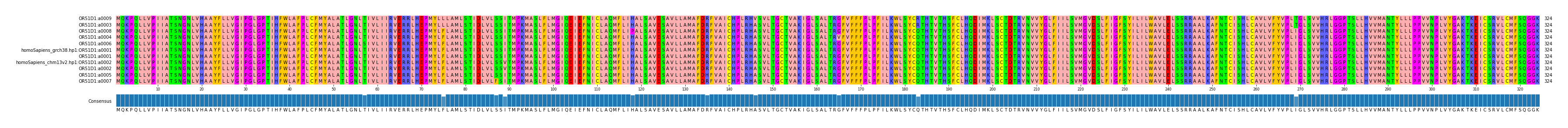 Multiple Alignments (by translate haplotype similarity)