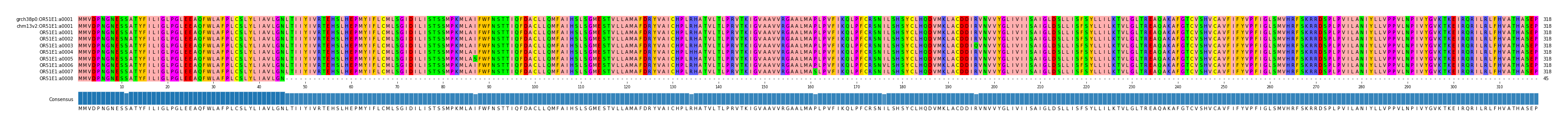 Multiple Alignments (by translate haplotype frequency)