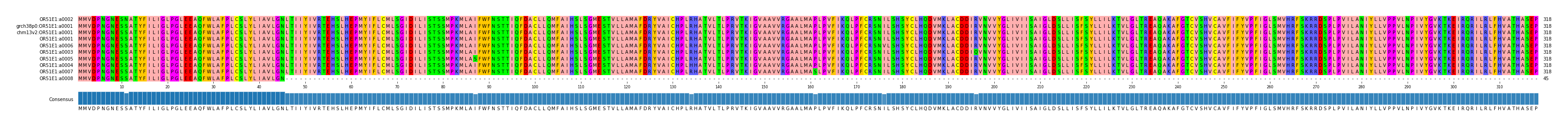 Multiple Alignments (by translate haplotype similarity)