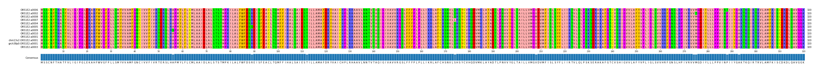 Multiple Alignments (by translate haplotype similarity)