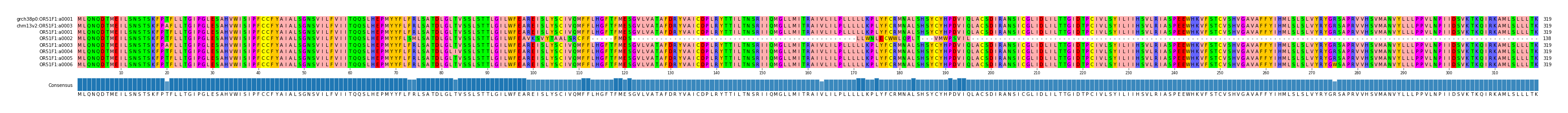 Multiple Alignments (by translate haplotype frequency)