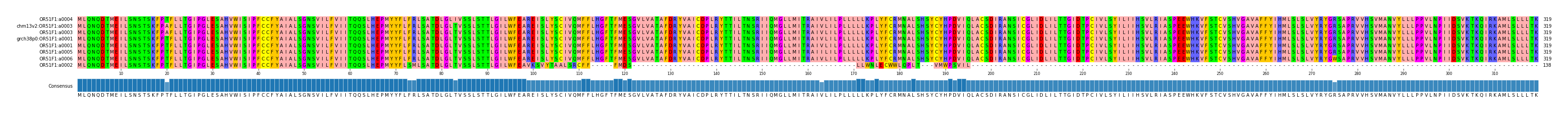Multiple Alignments (by translate haplotype similarity)