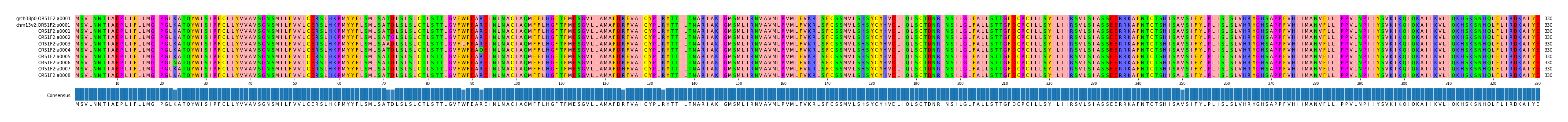 Multiple Alignments (by translate haplotype frequency)