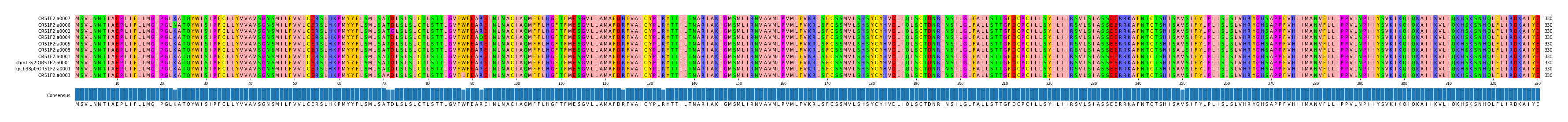 Multiple Alignments (by translate haplotype similarity)