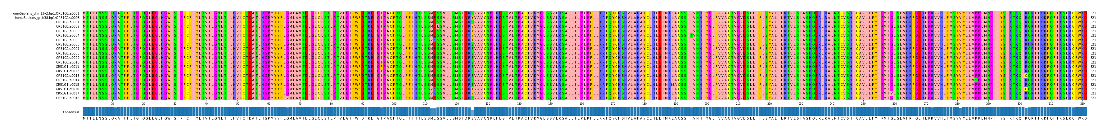 Multiple Alignments (by translate haplotype frequency)