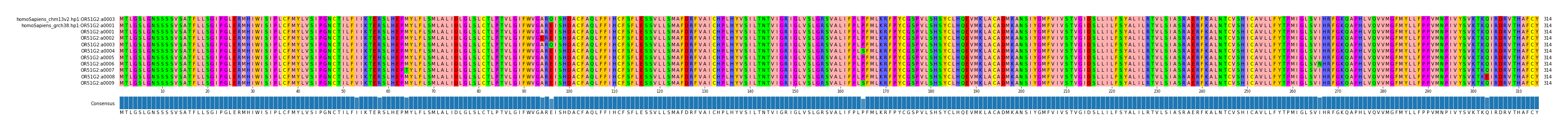 Multiple Alignments (by translate haplotype frequency)