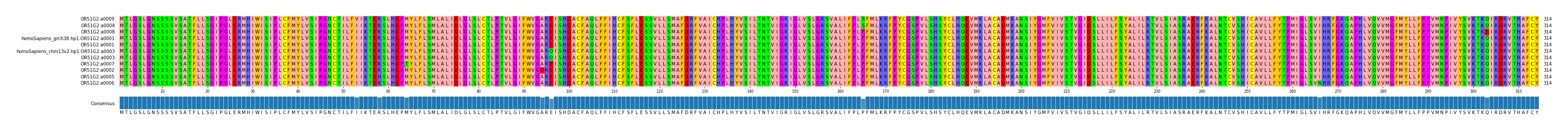 Multiple Alignments (by translate haplotype similarity)