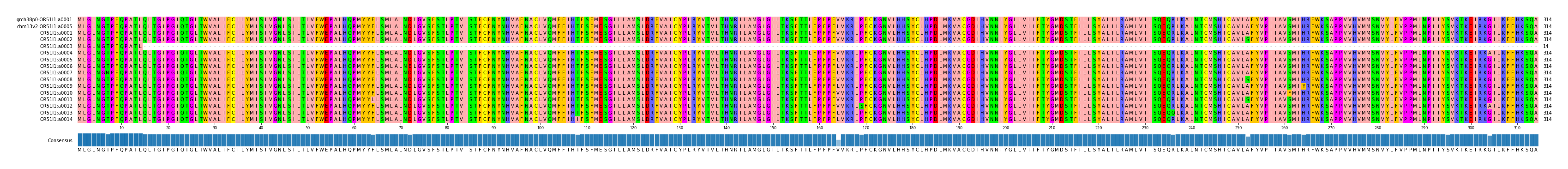 Multiple Alignments (by translate haplotype frequency)