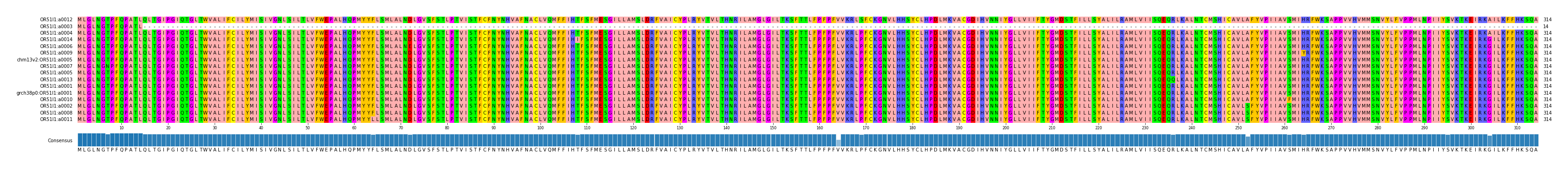 Multiple Alignments (by translate haplotype similarity)