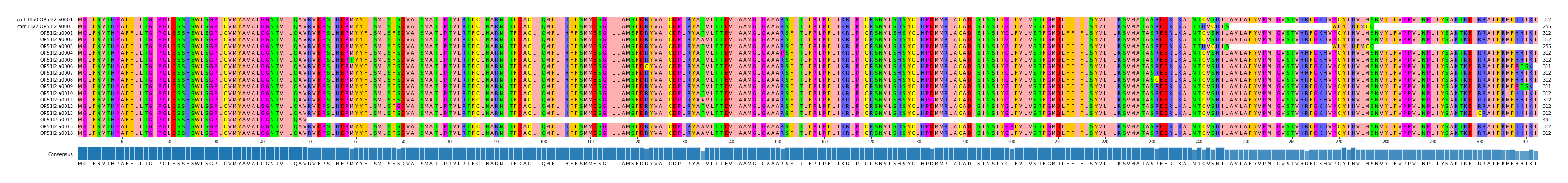 Multiple Alignments (by translate haplotype frequency)