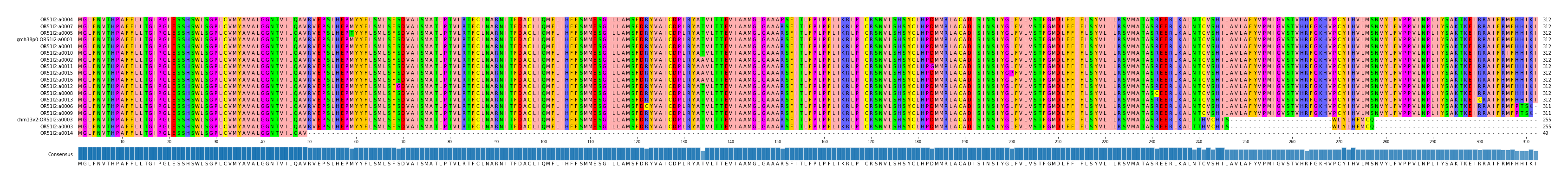 Multiple Alignments (by translate haplotype similarity)