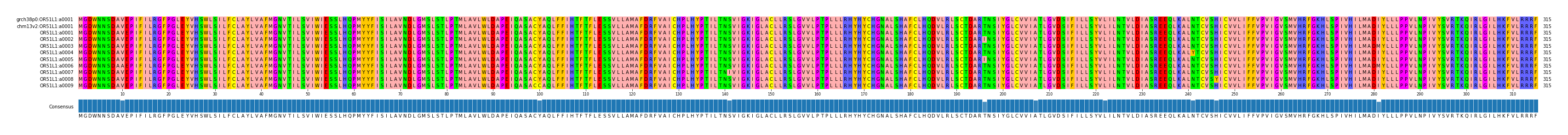 Multiple Alignments (by translate haplotype frequency)