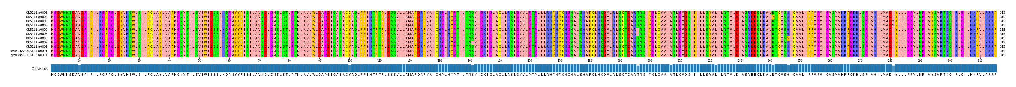 Multiple Alignments (by translate haplotype similarity)