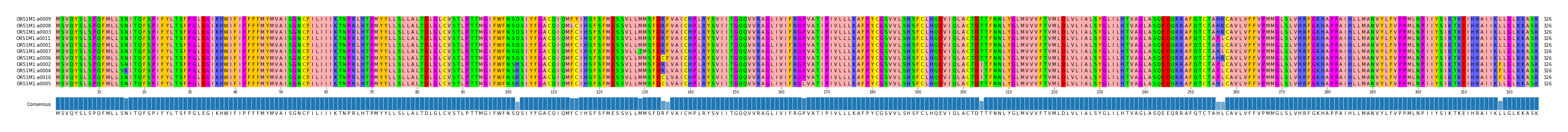 Multiple Alignments (by translate haplotype similarity)