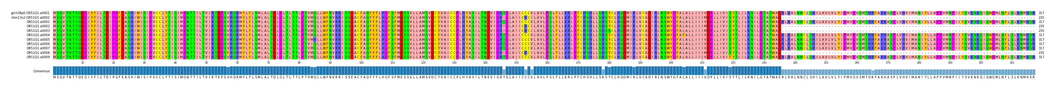 Multiple Alignments (by translate haplotype frequency)