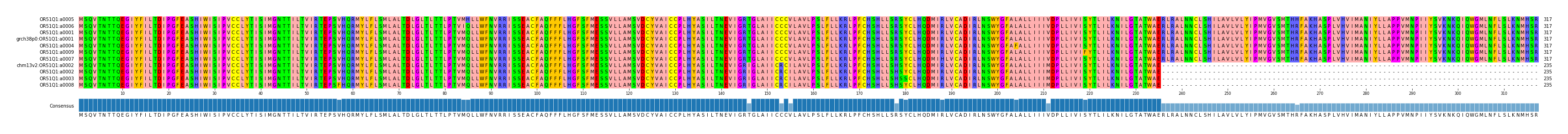 Multiple Alignments (by translate haplotype similarity)