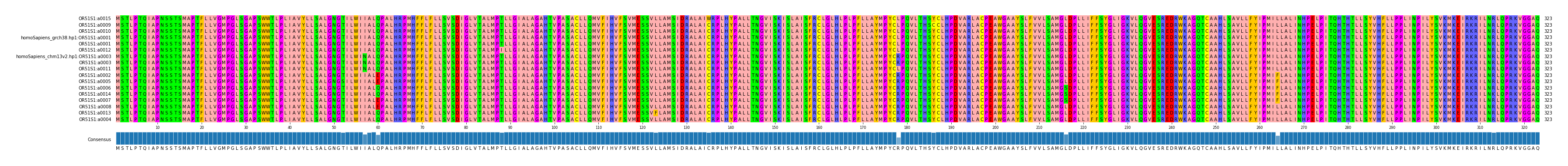 Multiple Alignments (by translate haplotype similarity)