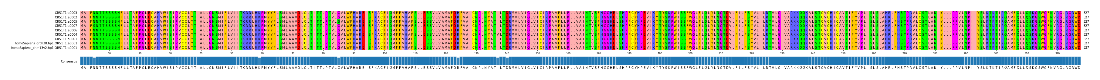 Multiple Alignments (by translate haplotype similarity)