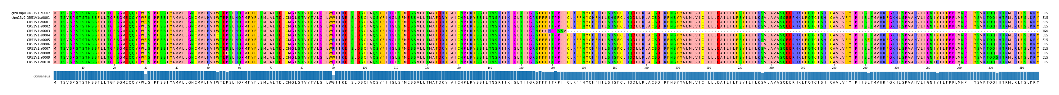Multiple Alignments (by translate haplotype frequency)