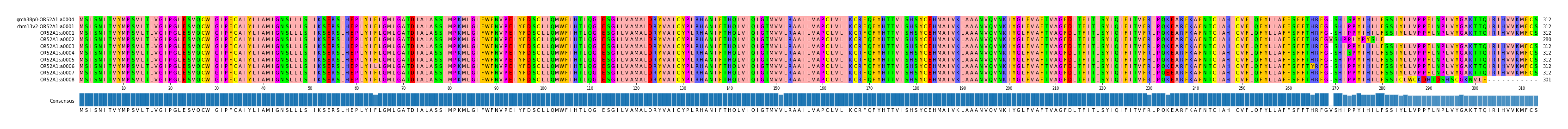 Multiple Alignments (by translate haplotype frequency)