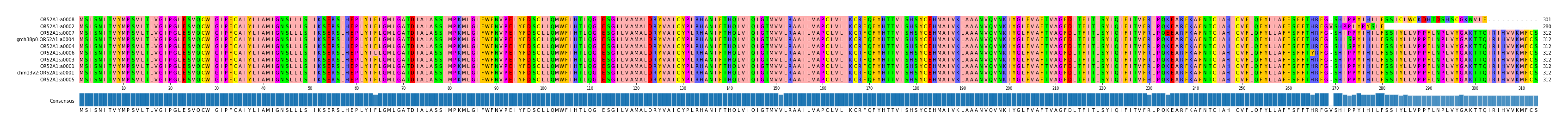 Multiple Alignments (by translate haplotype similarity)