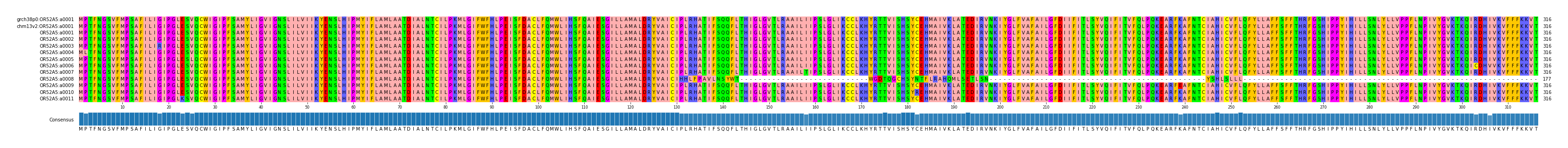Multiple Alignments (by translate haplotype frequency)