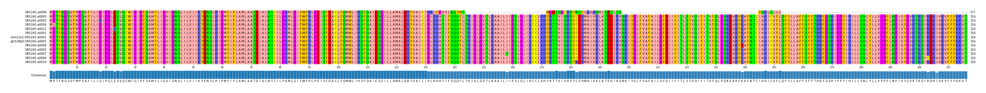 Multiple Alignments (by translate haplotype similarity)