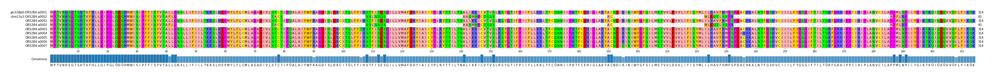 Multiple Alignments (by translate haplotype frequency)