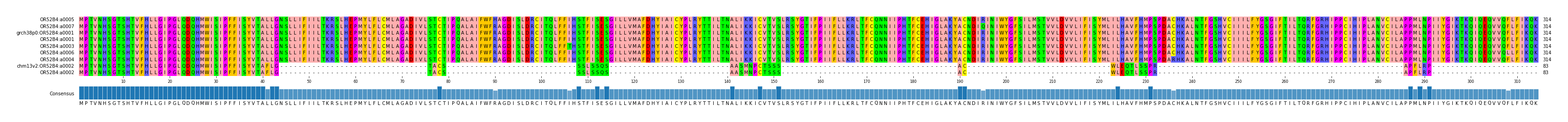 Multiple Alignments (by translate haplotype similarity)