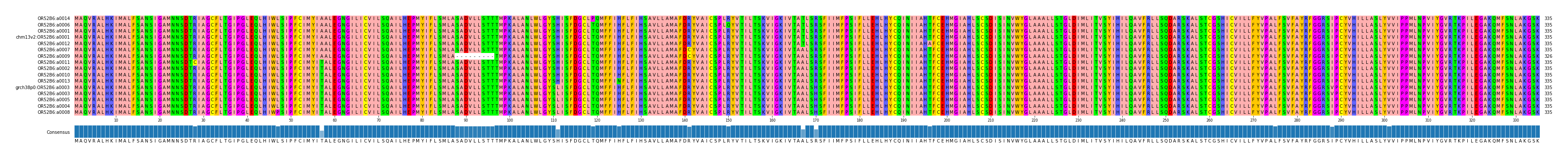Multiple Alignments (by translate haplotype similarity)