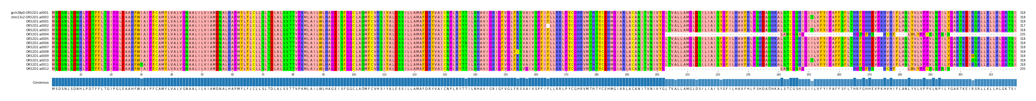 Multiple Alignments (by translate haplotype frequency)