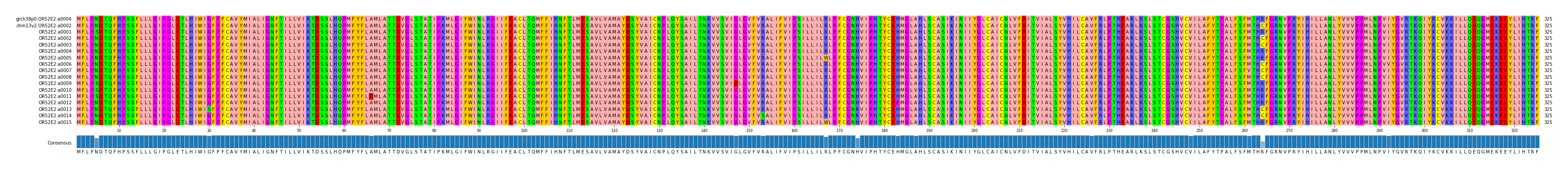 Multiple Alignments (by translate haplotype frequency)