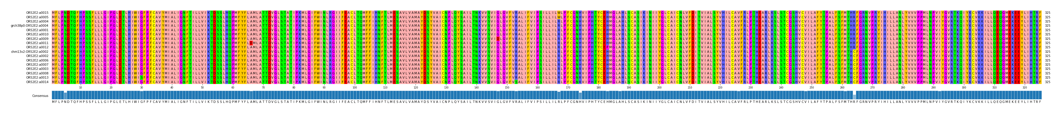 Multiple Alignments (by translate haplotype similarity)