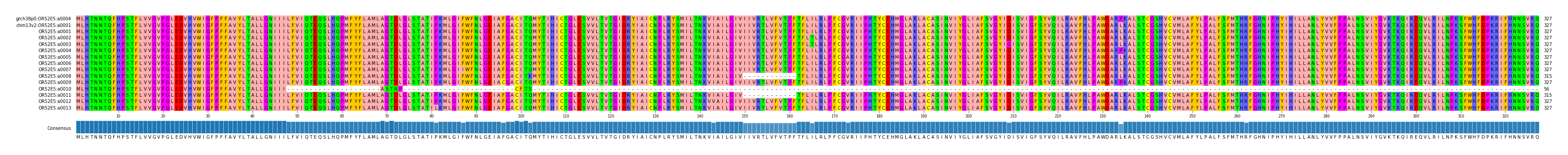 Multiple Alignments (by translate haplotype frequency)