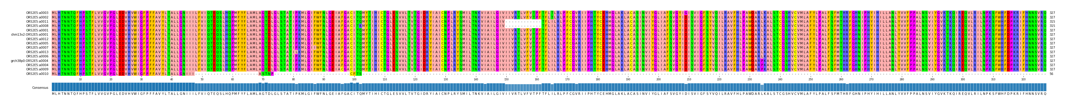 Multiple Alignments (by translate haplotype similarity)