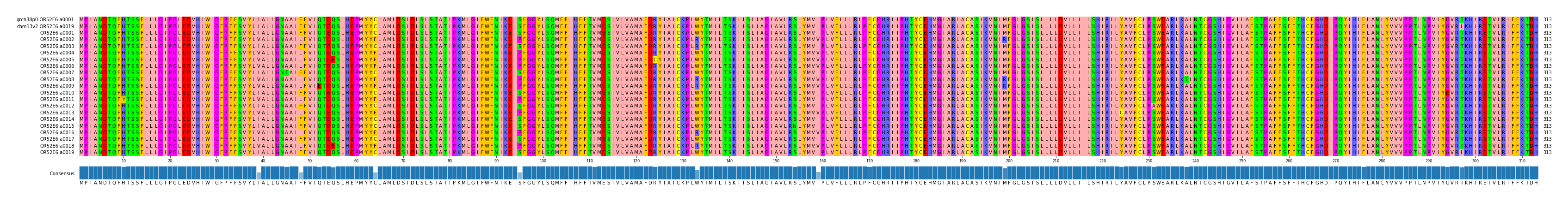 Multiple Alignments (by translate haplotype frequency)