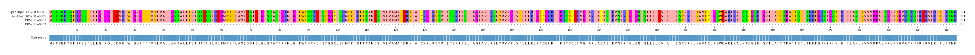 Multiple Alignments (by translate haplotype similarity)