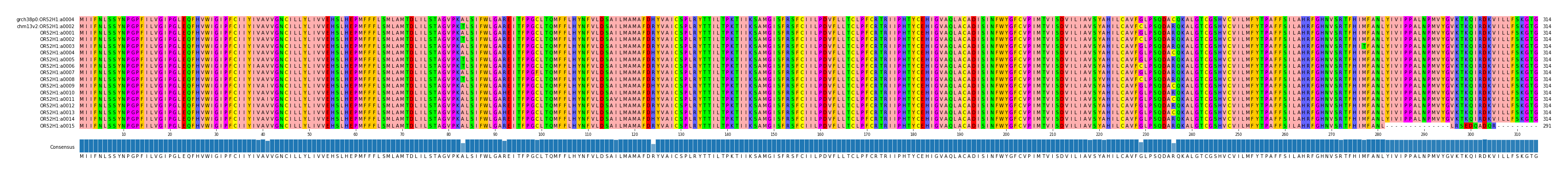 Multiple Alignments (by translate haplotype frequency)