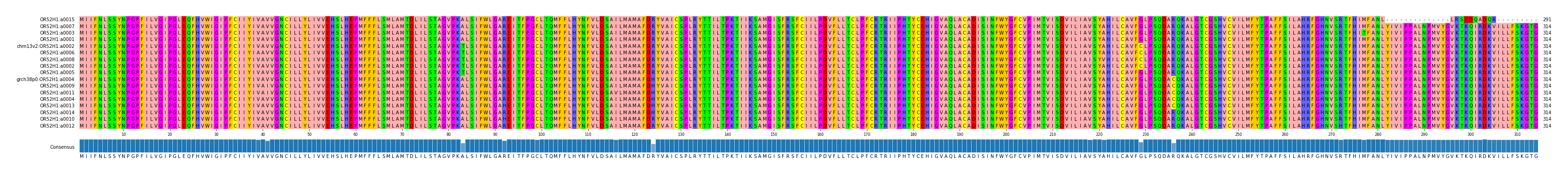 Multiple Alignments (by translate haplotype similarity)