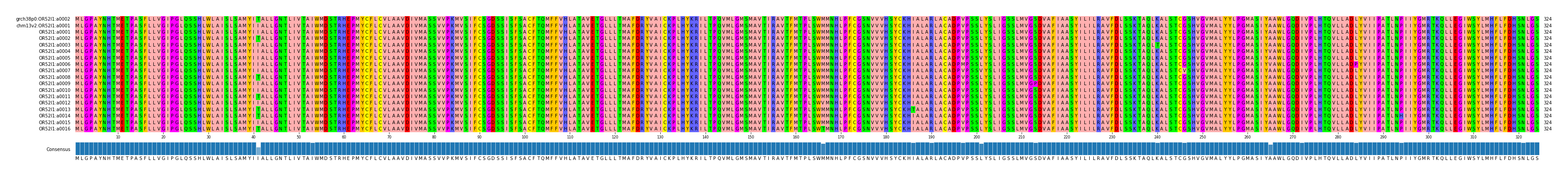 Multiple Alignments (by translate haplotype frequency)