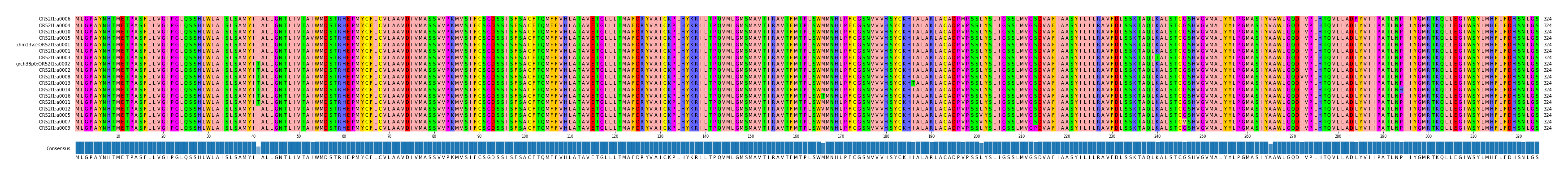 Multiple Alignments (by translate haplotype similarity)