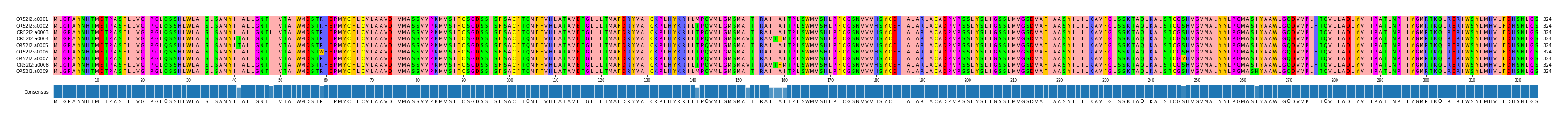 Multiple Alignments (by translate haplotype frequency)