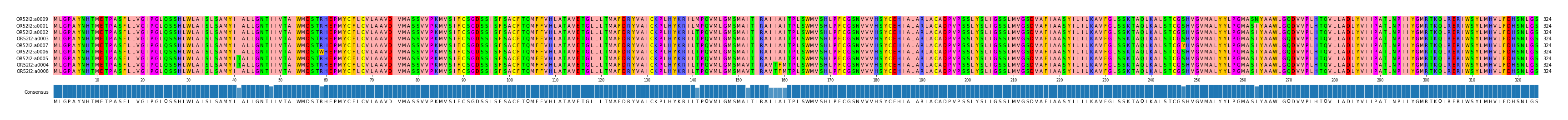 Multiple Alignments (by translate haplotype similarity)