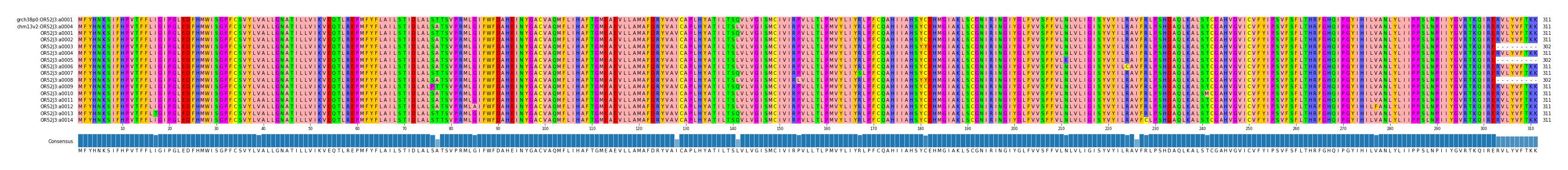 Multiple Alignments (by translate haplotype frequency)