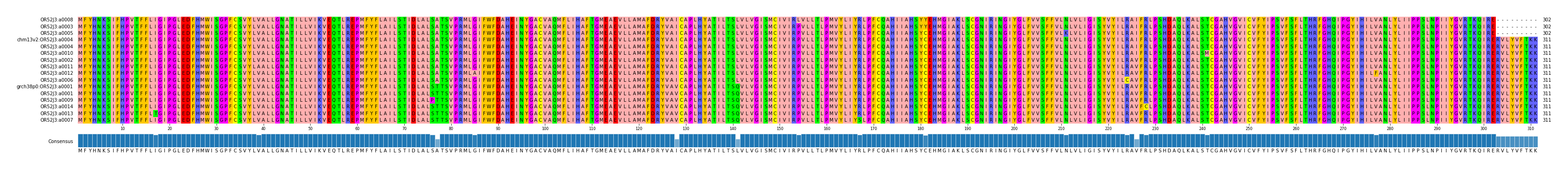Multiple Alignments (by translate haplotype similarity)