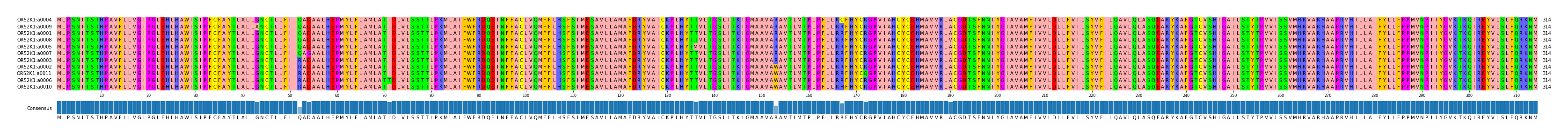 Multiple Alignments (by translate haplotype similarity)