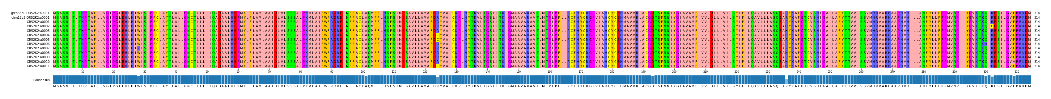 Multiple Alignments (by translate haplotype frequency)