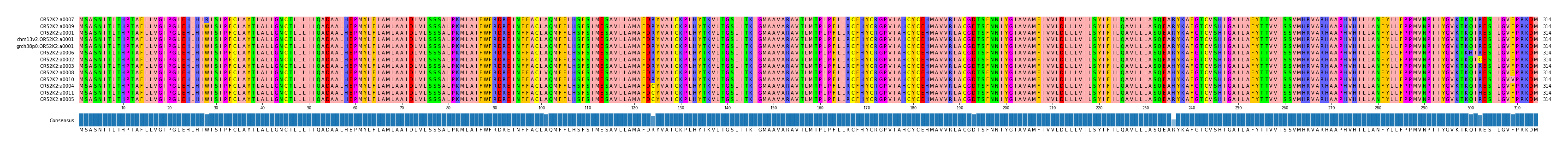 Multiple Alignments (by translate haplotype similarity)